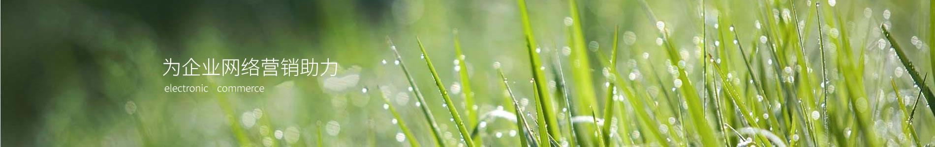 ݳƼ޹˾
